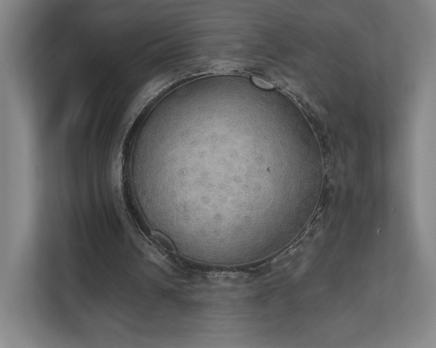 X0000111440242200907201134