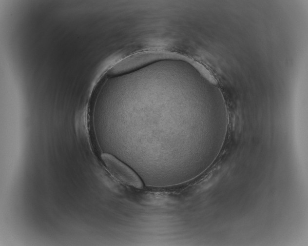 X0000111440244200907201134