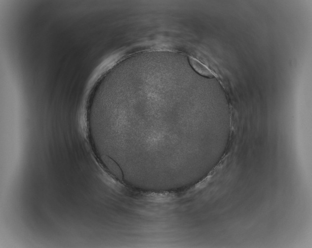 X0000111440245200907201134