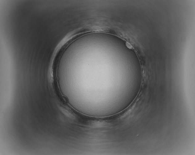 X0000111440246200907201134