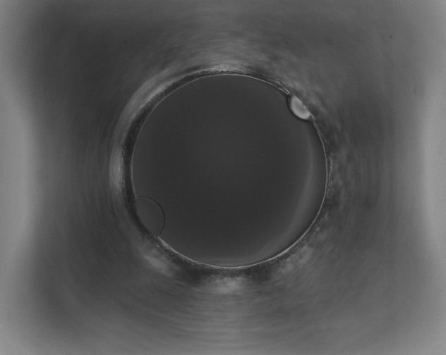 X0000111440247200907201134