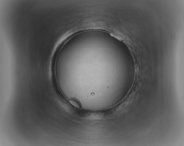 X0000111440248200907201134