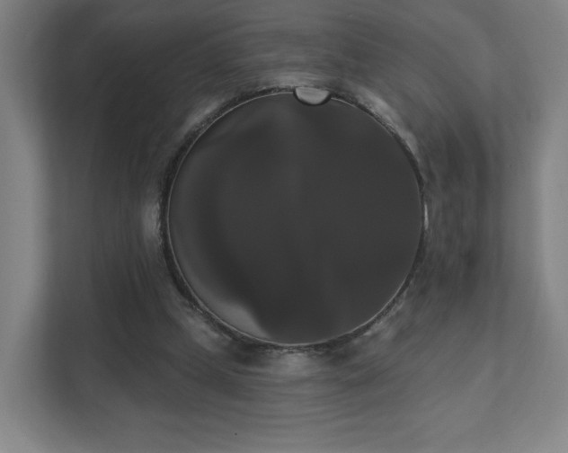 X0000111440249200907201134