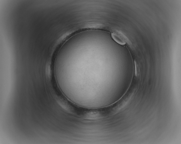 X0000111440252200907201134