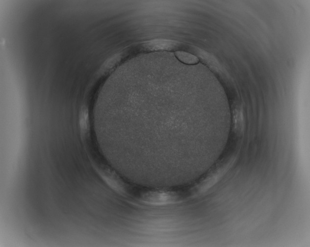 X0000111440254200907201134