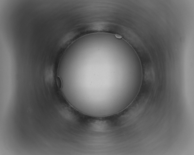 X0000111440256200907201134