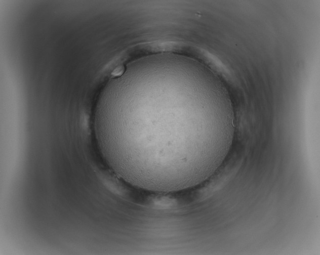 X0000111440258200907201134