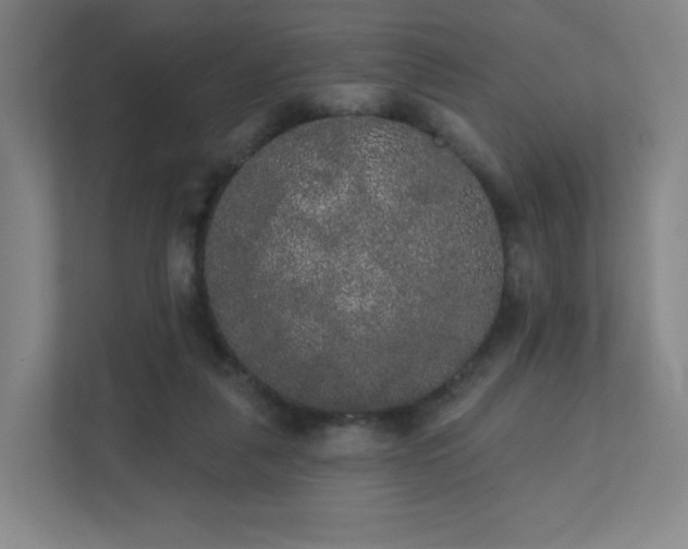 X0000111440259200907201134