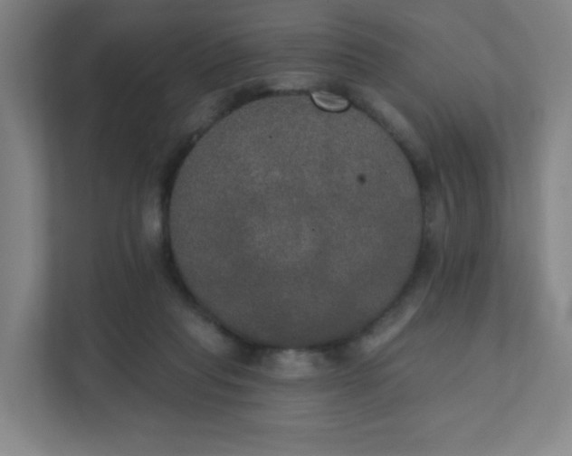 X0000111440261200907201134