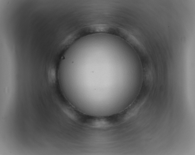 X0000111440262200907201134