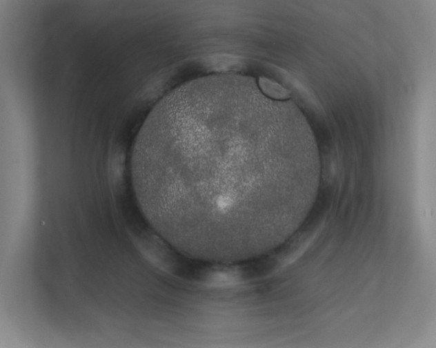 X0000111440263200907201134