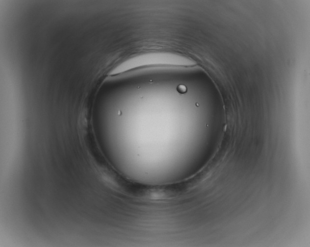 X0000111440264200907201134