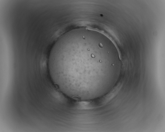 X0000111440265200907201134