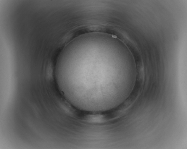 X0000111440266200907201134