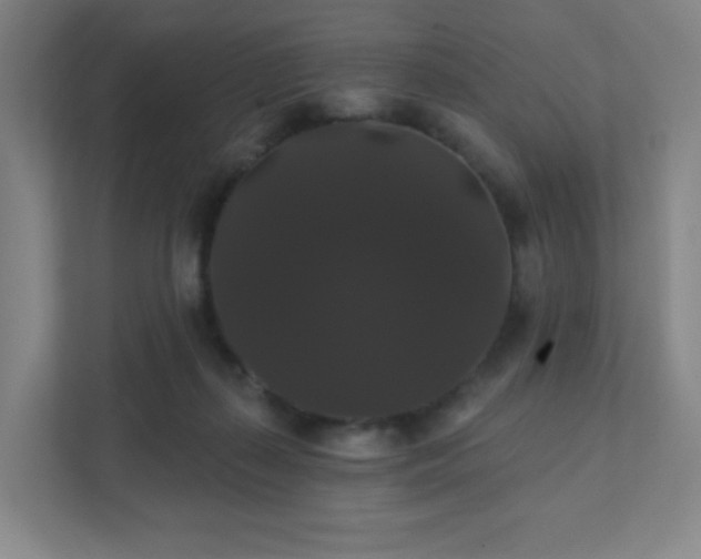 X0000111440267200907201134