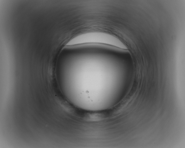 X0000111440268200907201134