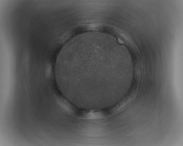 X0000111440270200907201135