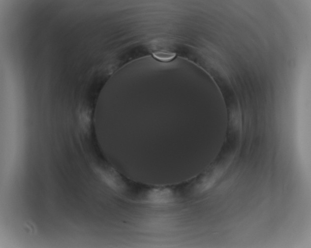 X0000111440271200907201135