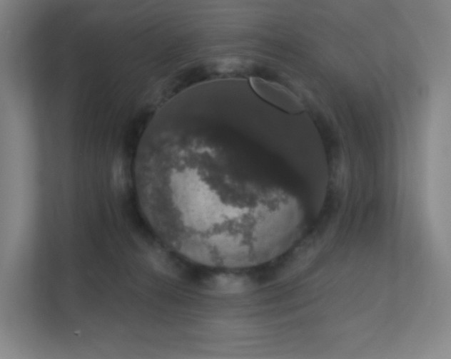 X0000111440272200907201135