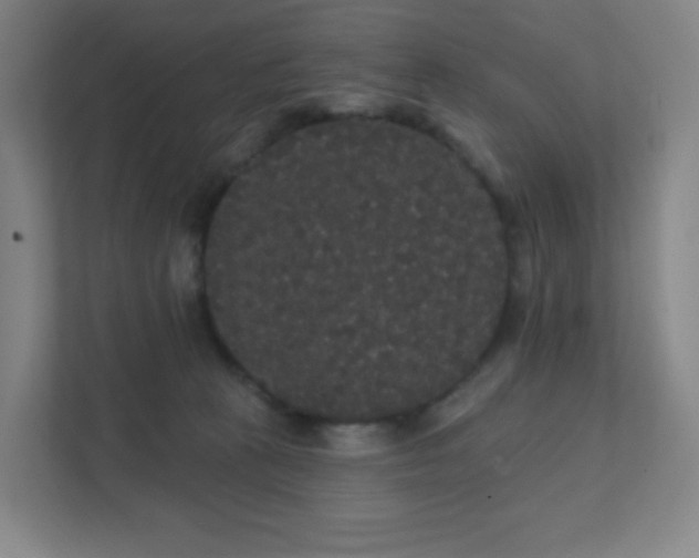 X0000111440273200907201135