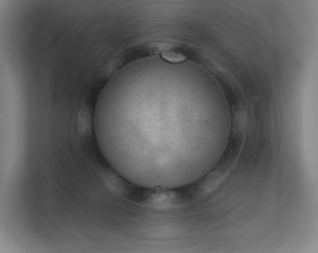 X0000111440274200907201135