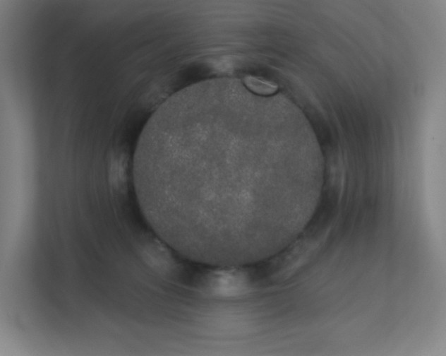 X0000111440275200907201135