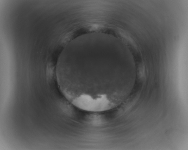 X0000111440276200907201135