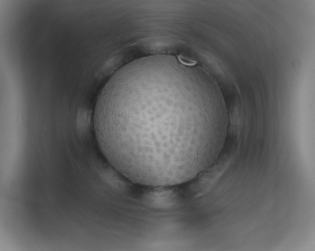 X0000111440278200907201135