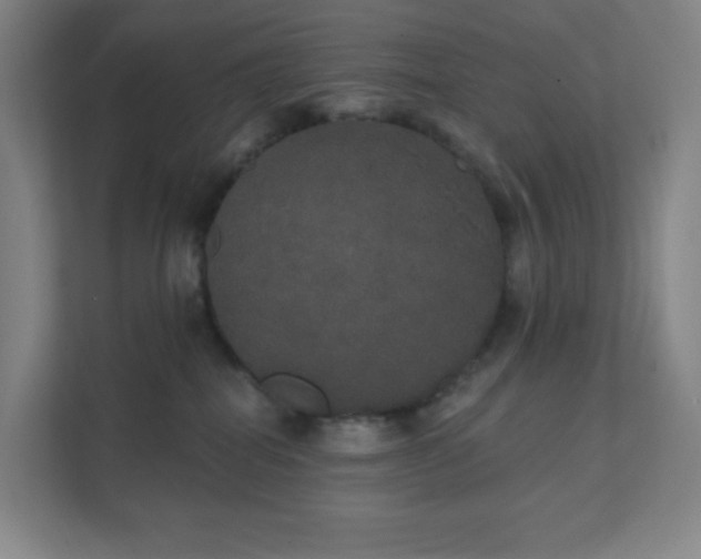 X0000111440282200907201135