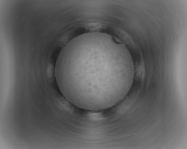 X0000111440283200907201135