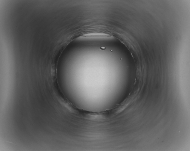 X0000111440284200907201135