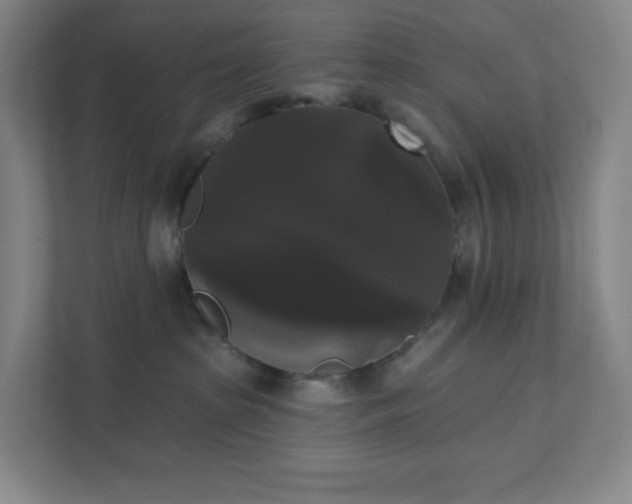 X0000111440285200907201135