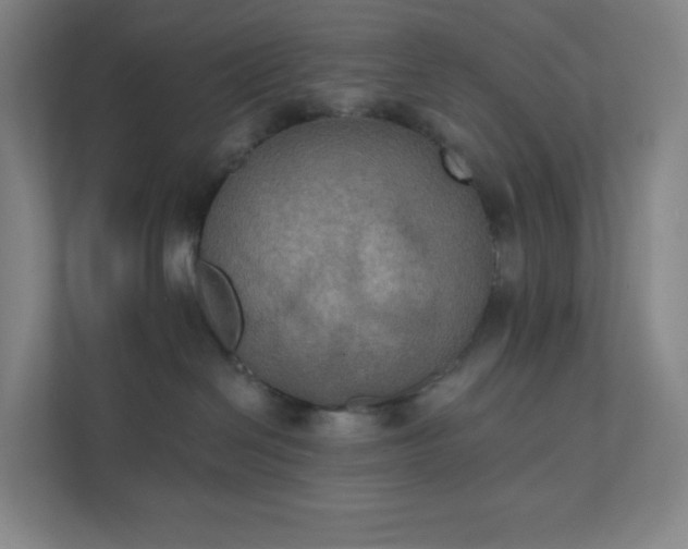 X0000111440286200907201135