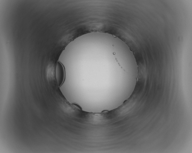 X0000111440287200907201135