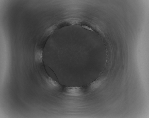 X0000111440288200907201135