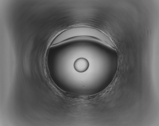 X0000111440289200907201134