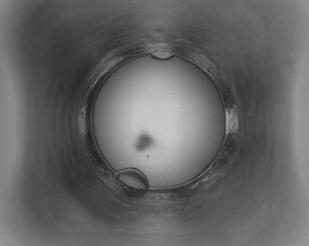 X0000111440291200907201134