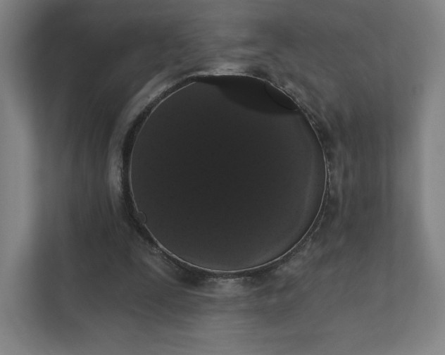 X0000111440295200907201134