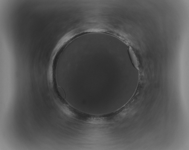 X0000111440296200907201134