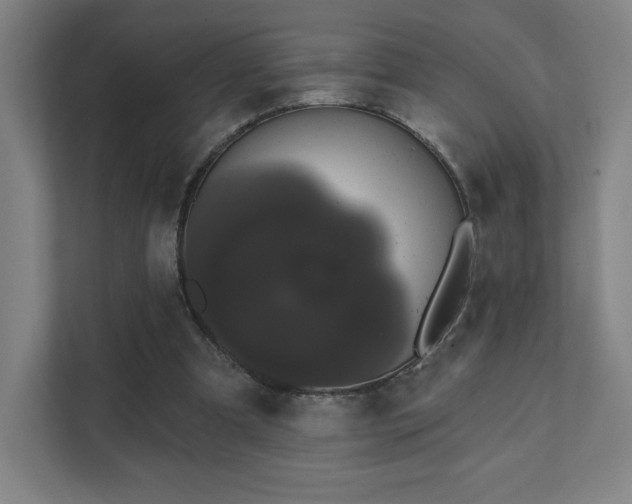 X0000111440297200907201134