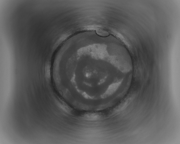 X0000111440299200907201134