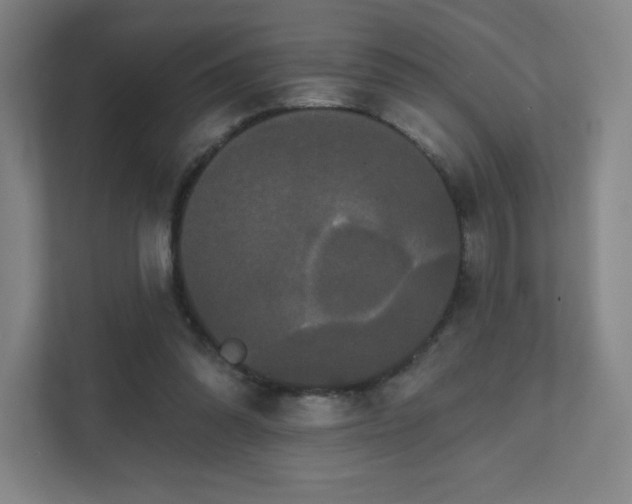 X0000111440302200907201134