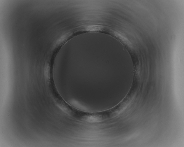 X0000111440303200907201134