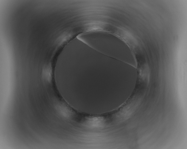 X0000111440304200907201134