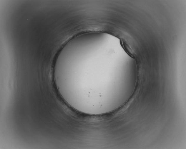 X0000111440305200907201134