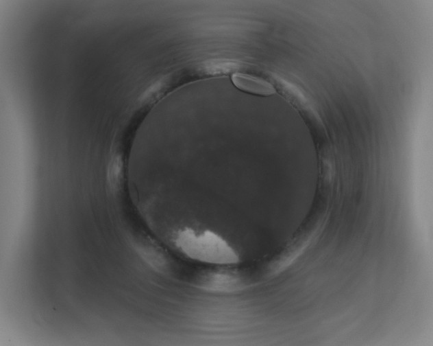 X0000111440308200907201134