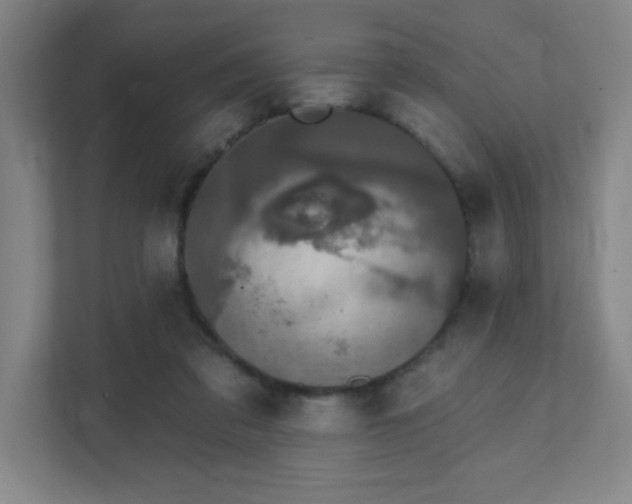 X0000111440309200907201134