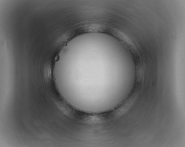 X0000111440310200907201134