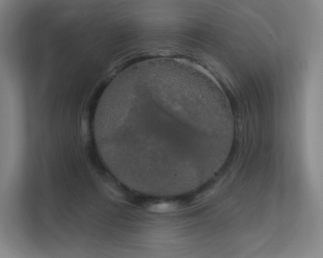 X0000111440312200907201134