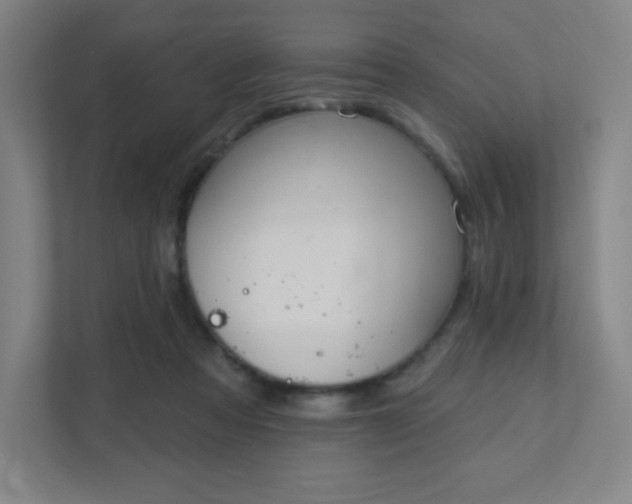 X0000111440313200907201134